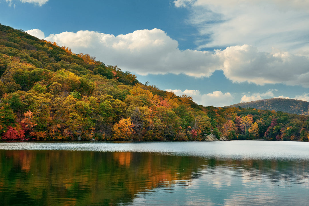 How to Choose Fishing Lures by Water Depth and Clarity