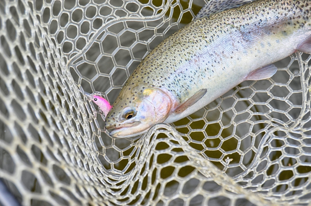 Catch and Release Techniques for Backcountry Anglers - Reel Time Fishing Supply™